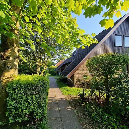 Strandflieder Apartment