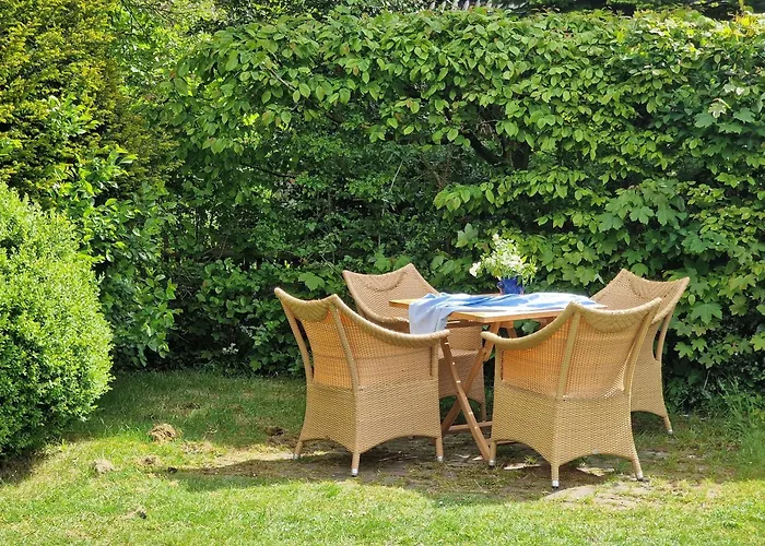 Strandflieder * 斯匹科罗格